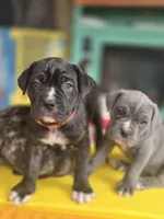 processed/7cd5f7ca-1d18-47dd-9a1f-9f4d93e7e3aa/listing/7bb68c03-3cb4-4fbf-9b62-33c164a229b3/3be68aee-ef99-41f9-b85e-cd2c0683d6e0