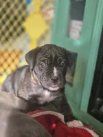 processed/7cd5f7ca-1d18-47dd-9a1f-9f4d93e7e3aa/listing/7bb68c03-3cb4-4fbf-9b62-33c164a229b3/47f65097-891c-4178-aa69-6d6cbc6c21a0