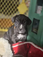 processed/7cd5f7ca-1d18-47dd-9a1f-9f4d93e7e3aa/listing/7bb68c03-3cb4-4fbf-9b62-33c164a229b3/73dac9d0-159a-4bc1-a5e4-bc51d08dc8da