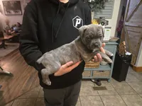 processed/7cd5f7ca-1d18-47dd-9a1f-9f4d93e7e3aa/listing/88dc3436-9d17-438a-aafc-1a878aff5cfc/40eac829-3604-43f6-a983-2142fdedb1fa