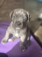 processed/7cd5f7ca-1d18-47dd-9a1f-9f4d93e7e3aa/listing/88dc3436-9d17-438a-aafc-1a878aff5cfc/f70c4310-8adb-4acc-b7b1-cacbc63100d3