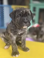 processed/7cd5f7ca-1d18-47dd-9a1f-9f4d93e7e3aa/listing/abe01fd8-a661-4c32-9a72-016d0509e610/f72e43ad-a980-44fa-9a2d-cc39ad2991af