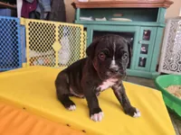 processed/7cd5f7ca-1d18-47dd-9a1f-9f4d93e7e3aa/listing/dc79d421-1784-4ad7-97f7-0b7247432ce9/087055c5-cc36-4513-b4dc-72d73f8a68e8