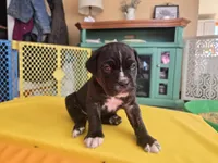 processed/7cd5f7ca-1d18-47dd-9a1f-9f4d93e7e3aa/listing/dc79d421-1784-4ad7-97f7-0b7247432ce9/ee1d6ee1-279e-45dd-86e9-526c3b1c7fdd