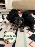 processed/7cd72561-07c6-4c21-a8b5-4035b4fe5992/listing/f7b3cade-f7c7-4d7a-bf6f-5b18d15f457d/086ac623-4b14-4eb5-ac7e-b1850a56581e