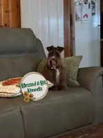 processed/7cd72561-07c6-4c21-a8b5-4035b4fe5992/listing/f7b3cade-f7c7-4d7a-bf6f-5b18d15f457d/6e23a5b6-a945-4e1d-aa63-bf27467ccbb1