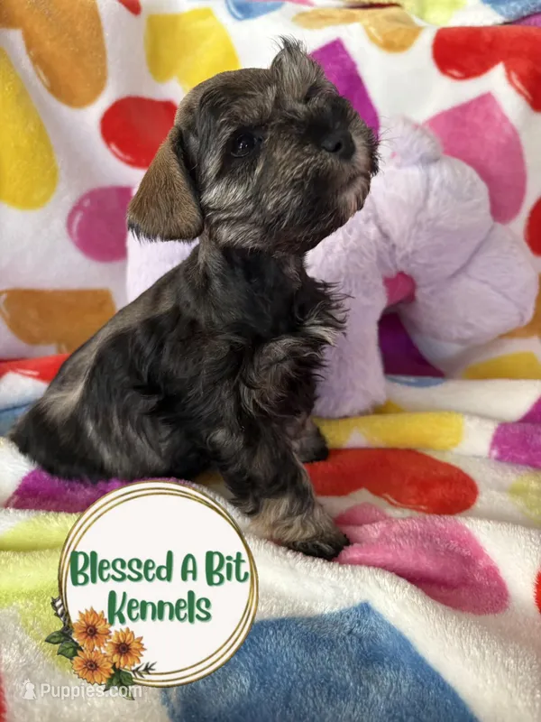 Salt and Peoper female