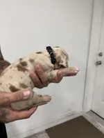 processed/7cdc38f3-b5ed-4a34-979e-99c1c9d6742d/listing/08deb094-d9d0-4496-9456-cd5ca4a80f0a/61966c1c-0f29-4930-a2a4-d684ba39bdf2