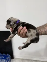 processed/7cdc38f3-b5ed-4a34-979e-99c1c9d6742d/listing/29649cd9-17bb-4107-bc2e-dd843b4f0f52/1e2603eb-dd82-41f2-89cc-84cd45dae787