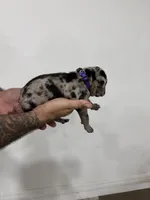 processed/7cdc38f3-b5ed-4a34-979e-99c1c9d6742d/listing/29649cd9-17bb-4107-bc2e-dd843b4f0f52/3a18bd14-3848-475b-8e6d-8d55396ff68e