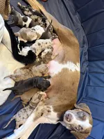 processed/7cdc38f3-b5ed-4a34-979e-99c1c9d6742d/listing/29649cd9-17bb-4107-bc2e-dd843b4f0f52/d09f5858-2e51-41ba-83f4-cbfa4467ef51