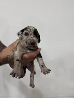 processed/7cdc38f3-b5ed-4a34-979e-99c1c9d6742d/listing/29649cd9-17bb-4107-bc2e-dd843b4f0f52/d8b88385-c95d-4df9-9aa4-3ea94fb98bbb