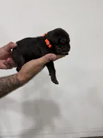 processed/7cdc38f3-b5ed-4a34-979e-99c1c9d6742d/listing/5c1fa9dc-42c4-4954-ad9b-cc59b7629f36/04ad64da-b141-44a9-ab31-e2b118ec434d