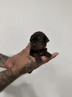 processed/7cdc38f3-b5ed-4a34-979e-99c1c9d6742d/listing/5c1fa9dc-42c4-4954-ad9b-cc59b7629f36/0ddb7ac0-1b2c-40f0-8709-7b8ffaed6075