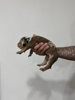 processed/7cdc38f3-b5ed-4a34-979e-99c1c9d6742d/listing/8a5d5430-5858-4bbf-8692-f67031bc2b0d/186c483c-cd17-4094-8843-4cd2b18a22bd