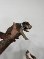 processed/7cdc38f3-b5ed-4a34-979e-99c1c9d6742d/listing/8a5d5430-5858-4bbf-8692-f67031bc2b0d/d0966aaa-8eb8-4a7a-a2ec-eb5f14d80238