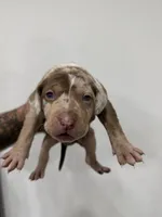 processed/7cdc38f3-b5ed-4a34-979e-99c1c9d6742d/listing/8a5d5430-5858-4bbf-8692-f67031bc2b0d/d95359e1-e59d-4226-b969-f25adcf4b053