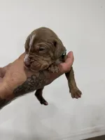 processed/7cdc38f3-b5ed-4a34-979e-99c1c9d6742d/listing/c669dfca-4900-40b3-89a4-588cd30786ea/24575e38-5d7c-48ea-a477-67b9289f14e0