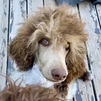 processed/7cde2c75-0631-465f-822b-2bc2e831a1a2/facility/118c2ab3-7b99-4580-8610-5cff887262e6