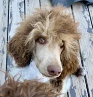 processed/7cde2c75-0631-465f-822b-2bc2e831a1a2/facility/118c2ab3-7b99-4580-8610-5cff887262e6