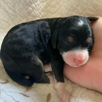 processed/7cde2c75-0631-465f-822b-2bc2e831a1a2/facility/191a5e48-0033-4614-bd90-c4c3466980d5