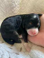 processed/7cde2c75-0631-465f-822b-2bc2e831a1a2/facility/191a5e48-0033-4614-bd90-c4c3466980d5