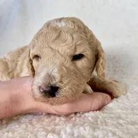 processed/7cde2c75-0631-465f-822b-2bc2e831a1a2/facility/216c16e9-e610-41fc-bd98-e6dac2c9b73d