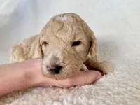 processed/7cde2c75-0631-465f-822b-2bc2e831a1a2/facility/216c16e9-e610-41fc-bd98-e6dac2c9b73d