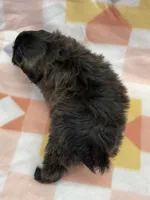 processed/7cf1b7fe-7f14-46f6-b1d6-0a93ee1992c1/listing/25a28887-8909-4278-b9e8-c299ab14e14f/0e39ca11-01e5-49ba-82cc-20ea6469b8ed