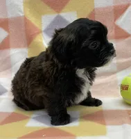 processed/7cf1b7fe-7f14-46f6-b1d6-0a93ee1992c1/listing/25a28887-8909-4278-b9e8-c299ab14e14f/126b92b5-3634-4e99-a825-244c2b31c574