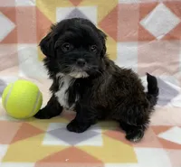 processed/7cf1b7fe-7f14-46f6-b1d6-0a93ee1992c1/listing/25a28887-8909-4278-b9e8-c299ab14e14f/52d04f60-362d-4844-ab4a-b296a0fc7e7d