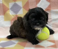 processed/7cf1b7fe-7f14-46f6-b1d6-0a93ee1992c1/listing/25a28887-8909-4278-b9e8-c299ab14e14f/6e72bfc1-d854-4e35-8cb7-ef68c7c8aafb