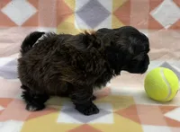 processed/7cf1b7fe-7f14-46f6-b1d6-0a93ee1992c1/listing/25a28887-8909-4278-b9e8-c299ab14e14f/993ba5f9-798c-4dc8-9afe-470a207912a4