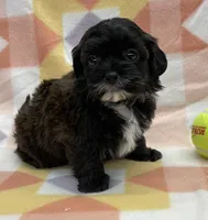 processed/7cf1b7fe-7f14-46f6-b1d6-0a93ee1992c1/listing/25a28887-8909-4278-b9e8-c299ab14e14f/aee1fe49-779a-4084-808b-76d0d12ed61e