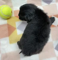 processed/7cf1b7fe-7f14-46f6-b1d6-0a93ee1992c1/listing/3a3df779-0091-420a-b843-48ae6232ff9d/25a43366-0838-4e10-bb7b-ce5a1e500d52