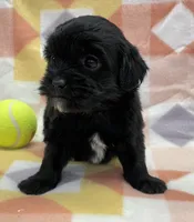 processed/7cf1b7fe-7f14-46f6-b1d6-0a93ee1992c1/listing/3a3df779-0091-420a-b843-48ae6232ff9d/663c091e-f6cc-4ed5-b399-90032c68b2d1