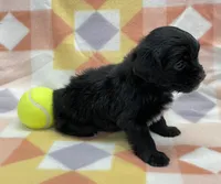 processed/7cf1b7fe-7f14-46f6-b1d6-0a93ee1992c1/listing/3a3df779-0091-420a-b843-48ae6232ff9d/73231f58-8f35-4c48-8b43-29bbd5631eac