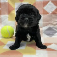 processed/7cf1b7fe-7f14-46f6-b1d6-0a93ee1992c1/listing/3a3df779-0091-420a-b843-48ae6232ff9d/dc6c0c8d-787f-467b-a67b-7900922711fc