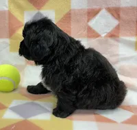 processed/7cf1b7fe-7f14-46f6-b1d6-0a93ee1992c1/listing/8aba6e2c-e039-47ea-9a6a-3e4d1cd97d10/618876f1-a812-4875-b95f-898ea24af674