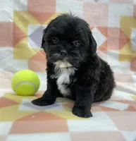 processed/7cf1b7fe-7f14-46f6-b1d6-0a93ee1992c1/listing/8aba6e2c-e039-47ea-9a6a-3e4d1cd97d10/90507207-a01a-4d6a-ac37-a2b614c0008f