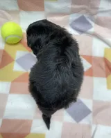 processed/7cf1b7fe-7f14-46f6-b1d6-0a93ee1992c1/listing/8aba6e2c-e039-47ea-9a6a-3e4d1cd97d10/958126b4-39a7-4d01-bf57-1a51d1b610ef