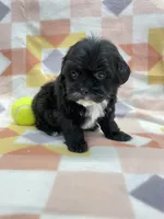 processed/7cf1b7fe-7f14-46f6-b1d6-0a93ee1992c1/listing/8aba6e2c-e039-47ea-9a6a-3e4d1cd97d10/c9037978-a8a2-4180-88f4-7fa24693524f