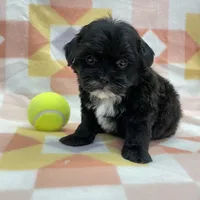 processed/7cf1b7fe-7f14-46f6-b1d6-0a93ee1992c1/listing/8aba6e2c-e039-47ea-9a6a-3e4d1cd97d10/e72a16e5-b9bf-4e1e-a911-9da9ccc1e0b3