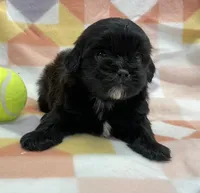 processed/7cf1b7fe-7f14-46f6-b1d6-0a93ee1992c1/listing/8b168c4c-effa-43e2-96cb-09fa8fc405cd/196aab8a-a0e4-46fb-97c2-5612efe02f51