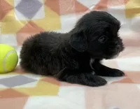 processed/7cf1b7fe-7f14-46f6-b1d6-0a93ee1992c1/listing/8b168c4c-effa-43e2-96cb-09fa8fc405cd/5f5a3ab1-dcff-4832-ae73-b5f8cd8df6f0