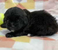 processed/7cf1b7fe-7f14-46f6-b1d6-0a93ee1992c1/listing/8b168c4c-effa-43e2-96cb-09fa8fc405cd/8473721a-88b4-4a79-a77f-5f6e80dbe3d9