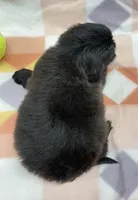 processed/7cf1b7fe-7f14-46f6-b1d6-0a93ee1992c1/listing/8b168c4c-effa-43e2-96cb-09fa8fc405cd/a0f8dc54-0589-49a9-9e00-0cd8c6948bd5