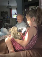 Chocco, a male Bichon Frise and Shih Tzu for sale in Parkersburg, WV – 9 of 10