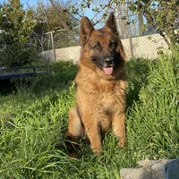 processed/7cf45e5e-de71-49b8-8c22-57bfaf530b14/facility/263cdf17-6907-44c6-b533-a233ec0e5af3