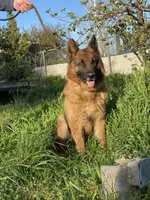 processed/7cf45e5e-de71-49b8-8c22-57bfaf530b14/facility/263cdf17-6907-44c6-b533-a233ec0e5af3